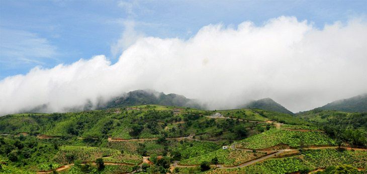 The Beautiful Drive to the Western Ghats