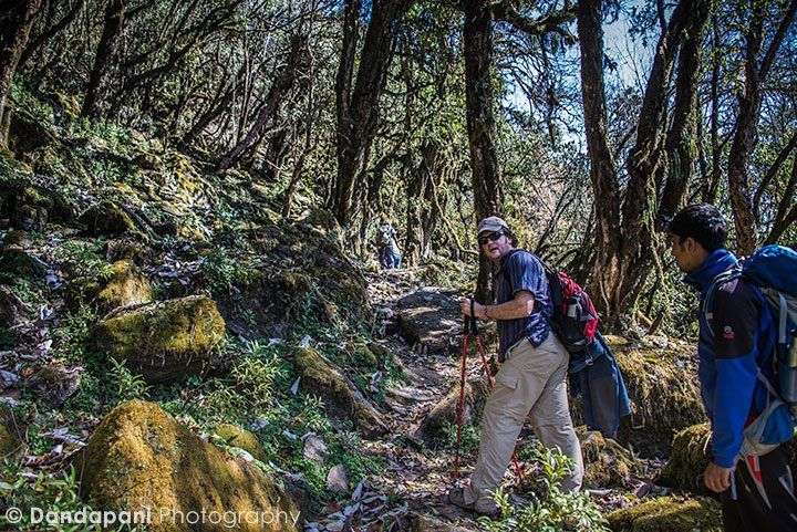 Hiking through more gorgeous forests….