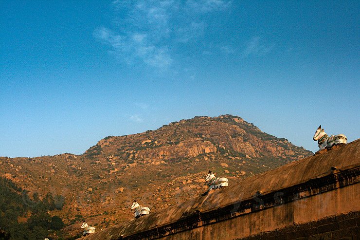 Arunachala - hill of fire