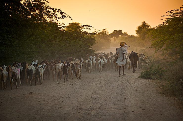 Highlights of Chandelao, Rajasthan image