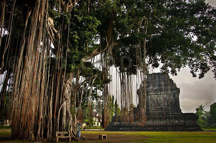 Java's Buddhist Sanctuaries image