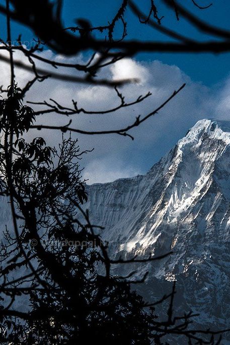 It was a sight for sore legs and weary trekkers. The mountains were simply gorgeous in the evening light.