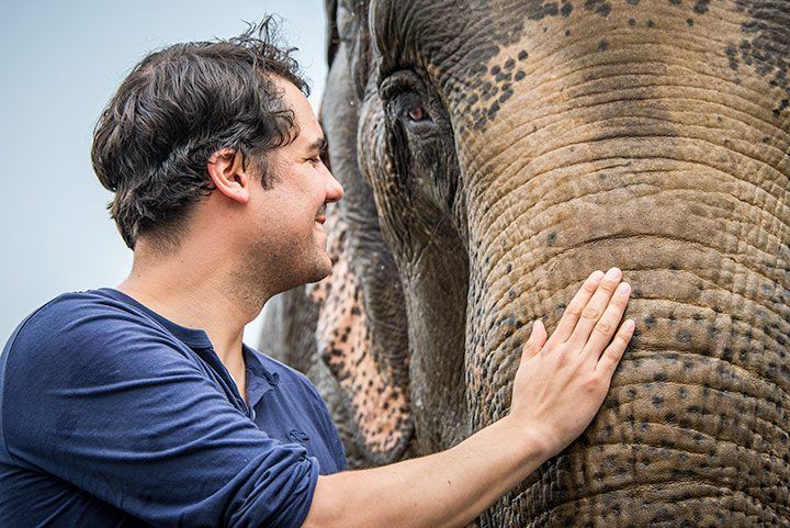 chitwan-national-park-elephant
