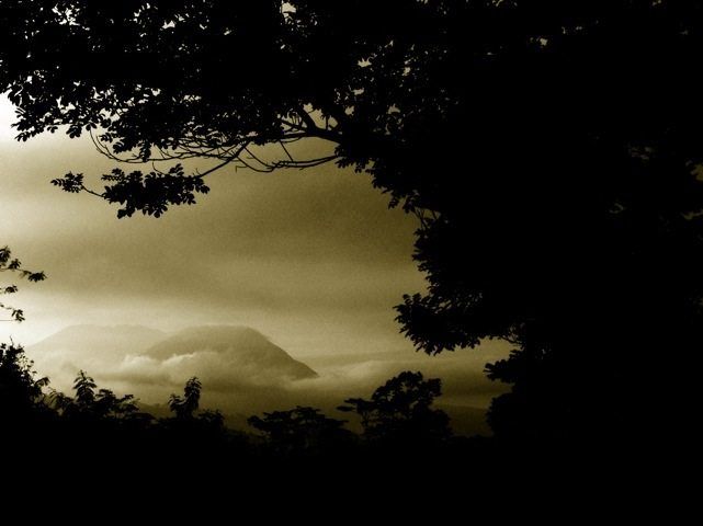 20120214-075512.jpg