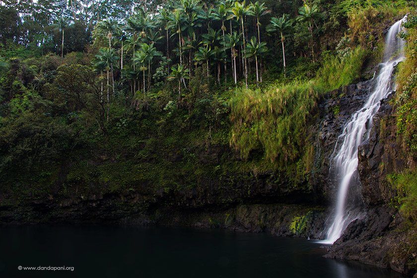 A view of the falls from the side. Getting low enough on one side I was able to get the beautiful palm trees that graced the side of the hill as well in the frame adding more of a context to the scene.