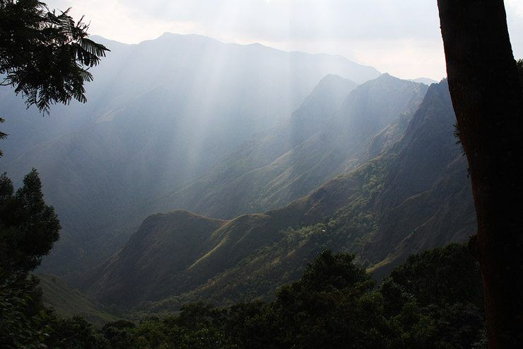 Hiking in the Western Ghats image
