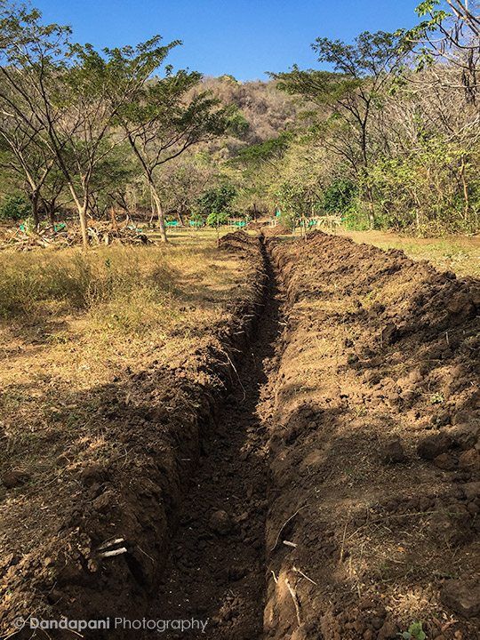 About a 1,000 feet of trench dug for irrigation.