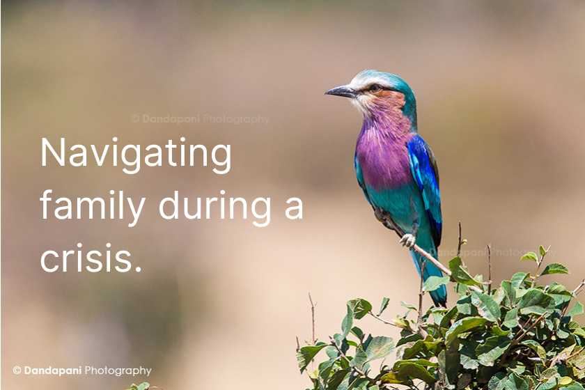 Navigating Family During A Crisis