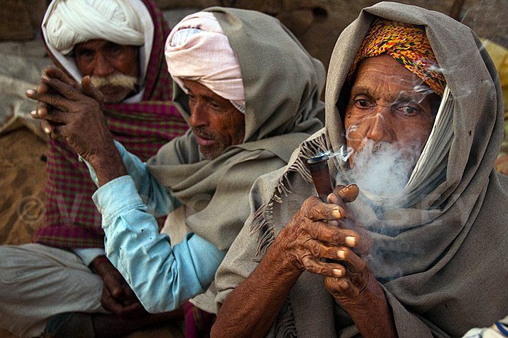 Pushkar camel Fair 2011, Rajasthan.