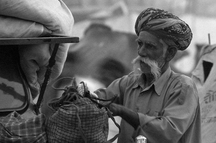 Rajasthan moustache