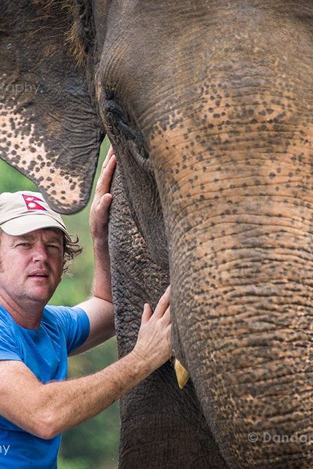 chitwan-jungle-elephants