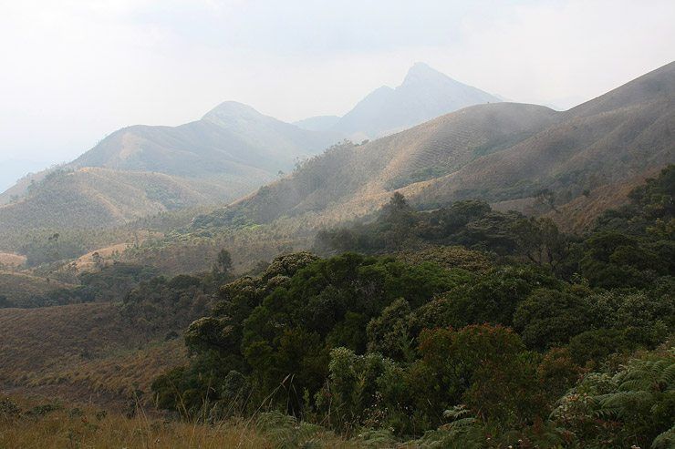 Hiking in the Western Ghats image