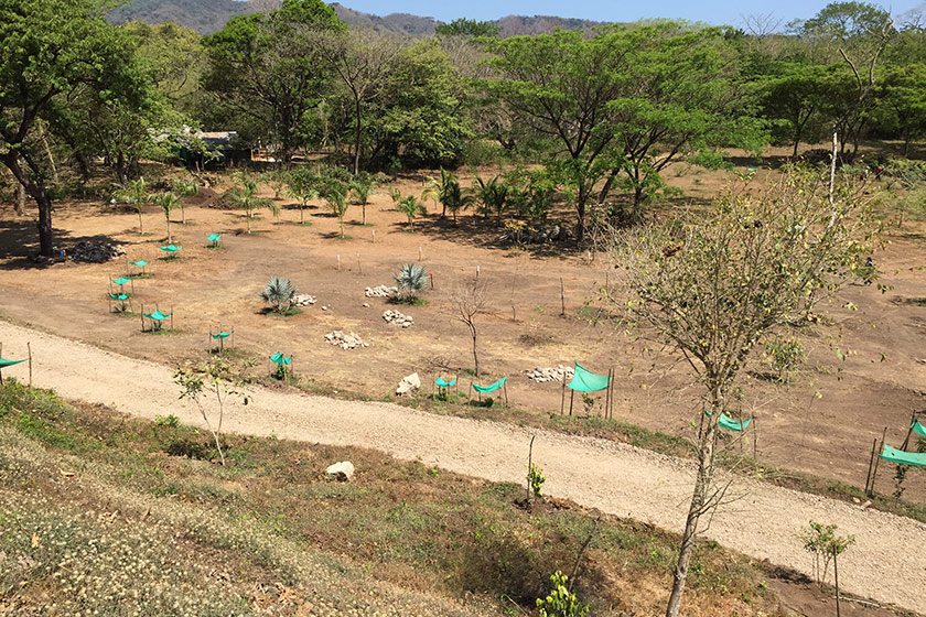 Siva Ashram Update - April 2017 Part 1
