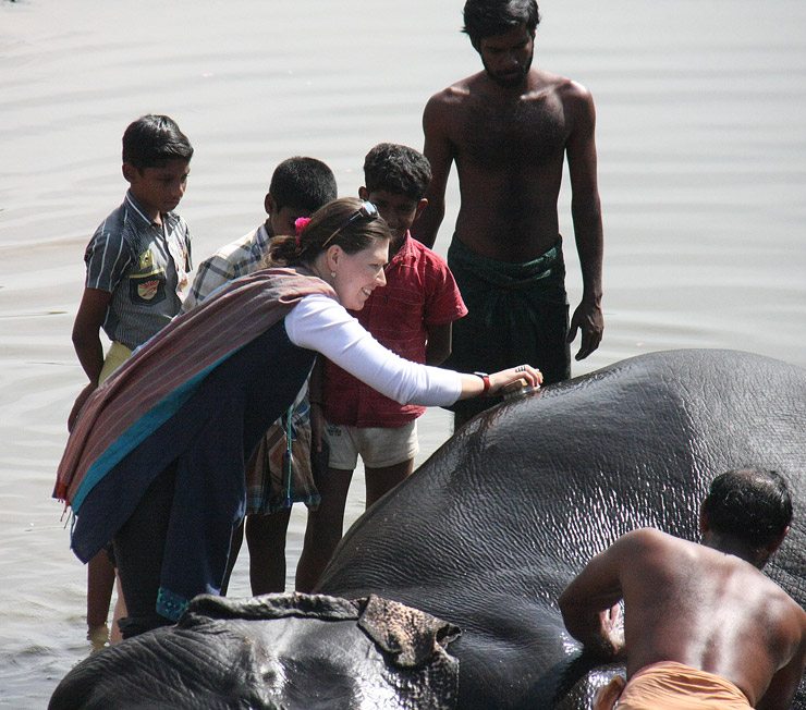Bathing the Elephant