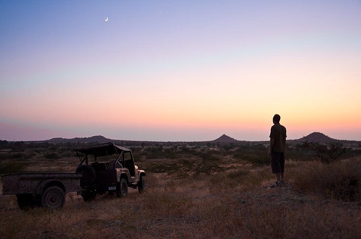 Camels and Campfire in the Desert image