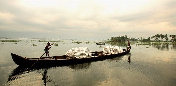 south-india-retreat-dandapani-meditation-kerala