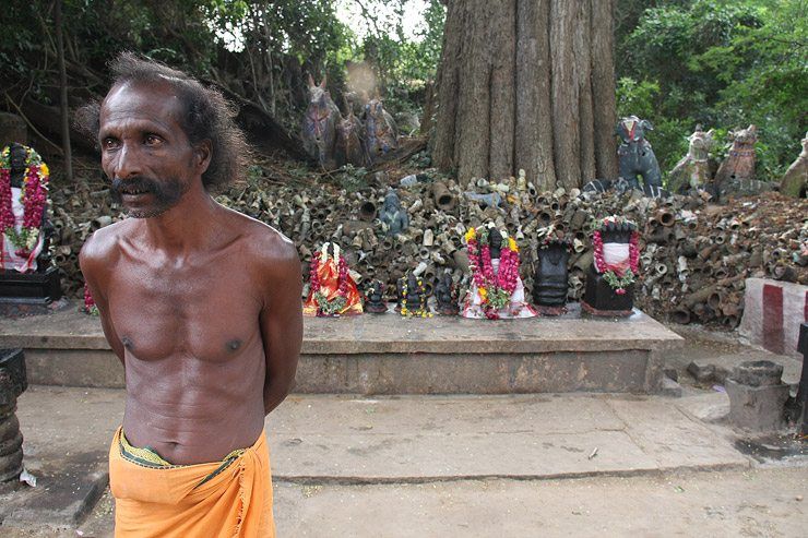At the Ayyanar temple image