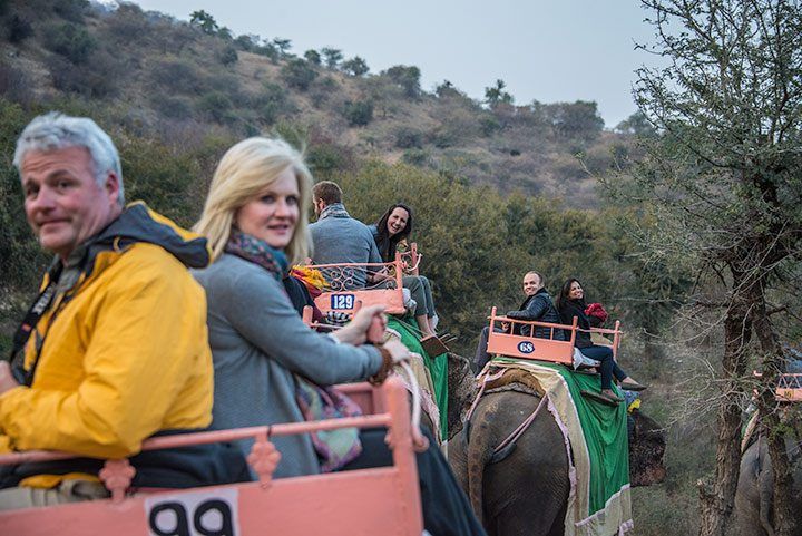 The trail of elephants in the hills.