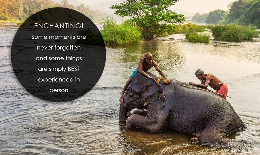 Ayurveda and Yoga Retreat in South India image