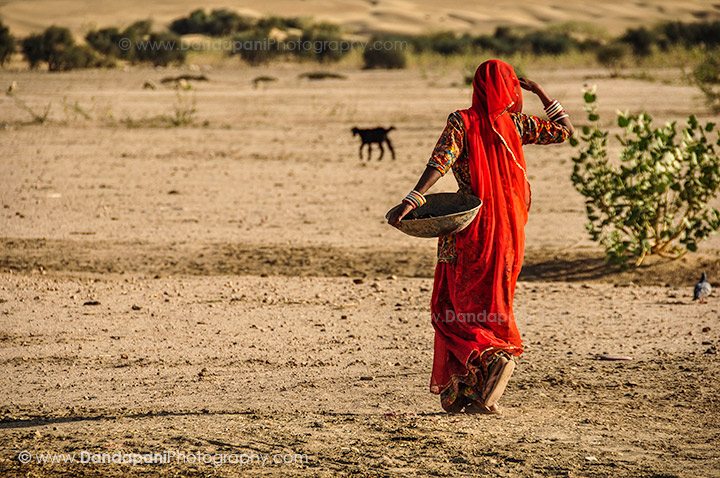 Cuisine of Rajasthan - The land and its (limited!) bounty