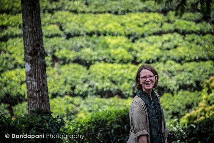 tea-plantations-kerala