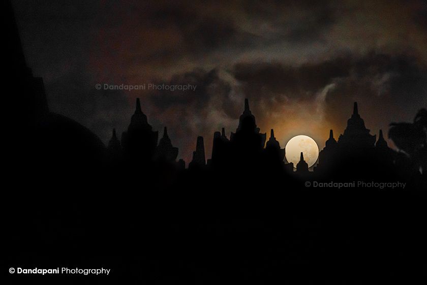 COVID: The Path Forward