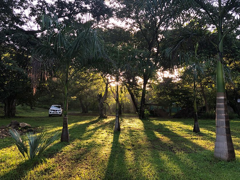 Sunrise. Entrance area to Siva Ashram.