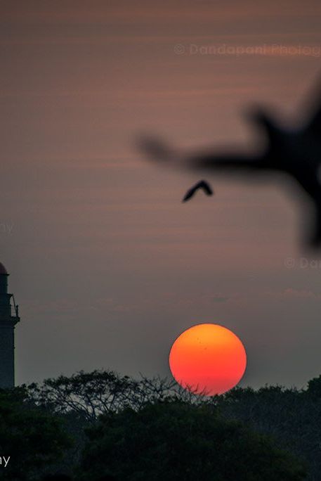 This crow flew right into my shot. I can't take full credit for it.
