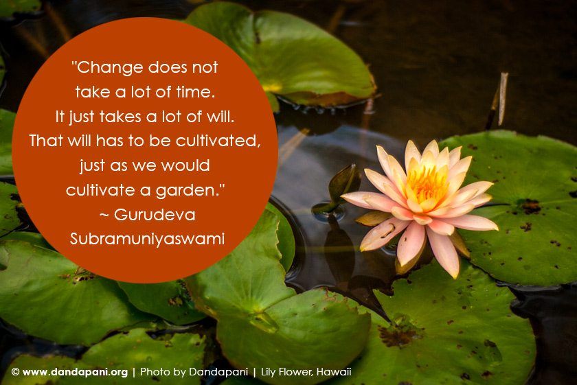 Cultivating Willpower