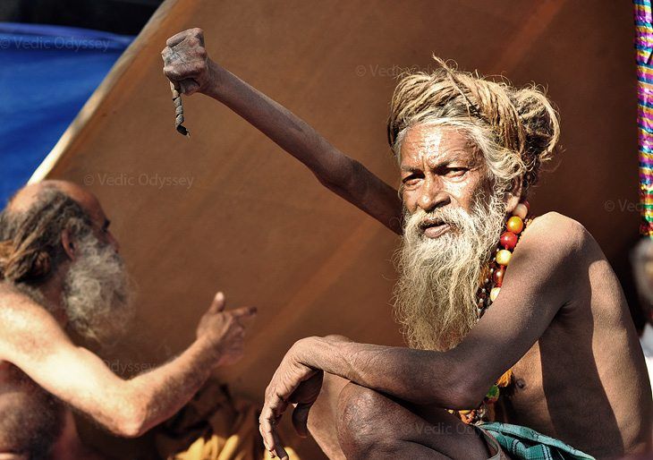 A sadhu, Hindu monk, has held his hand up in the air for 28 years as a form of penance. Here's he is gathered to celebrate in the grand Kumbha Mela festival.
