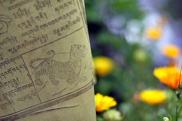 The winding road to Darjeeling from Bagdogra, the nearest airport 93kms aways