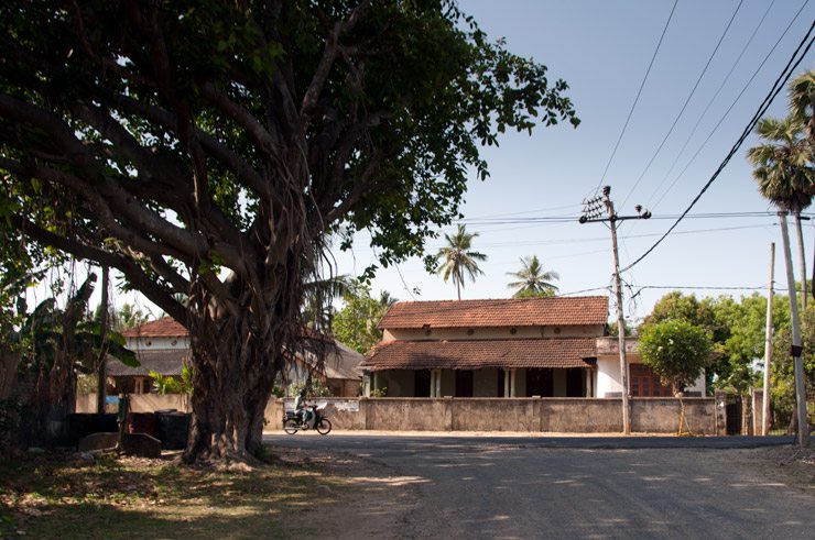 The Family Home