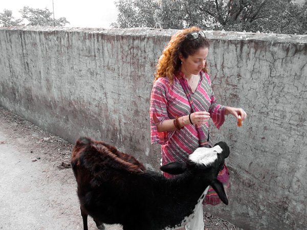Got Milk...or a Paper Bag, Tin Can or Old Newspaper?