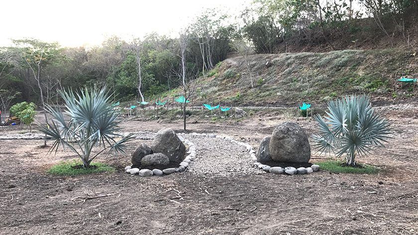 A pathway for the future Rain Tree Welcome Center