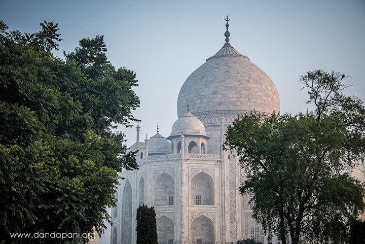 The view of the Taj Mahal though some of the trees in the garden