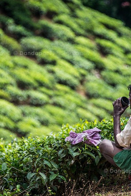 A tea plantation worker takes a break and enjoys his cup of tea and the breathtaking views.