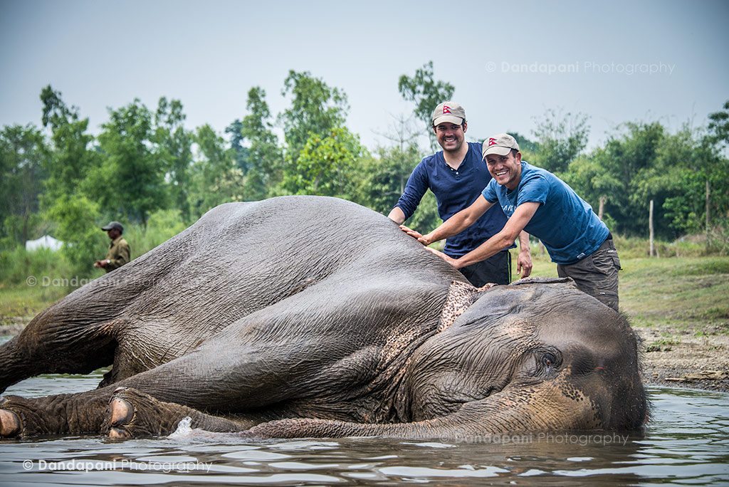 A morning with elephants in the jungles of Chitwan