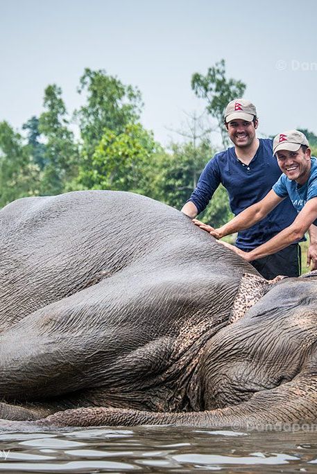 chitwan-jungle-elephants-bathing