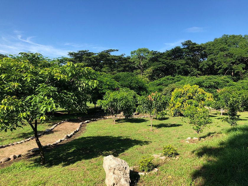 The path that takes you through the gardens is called The Path of Transformation. This is the start of the path and leads you first to a shrine to Ganesha.
