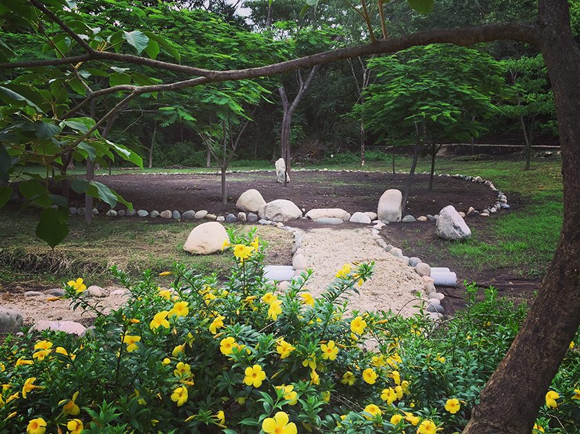 Siva Ashram Update - June 2017