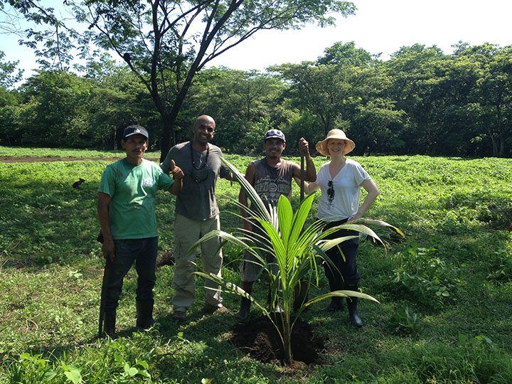 The first tree is in the ground. A vision is manifesting.