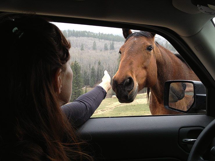 Weekend of Spiritual Workshops in the Vail Valley image