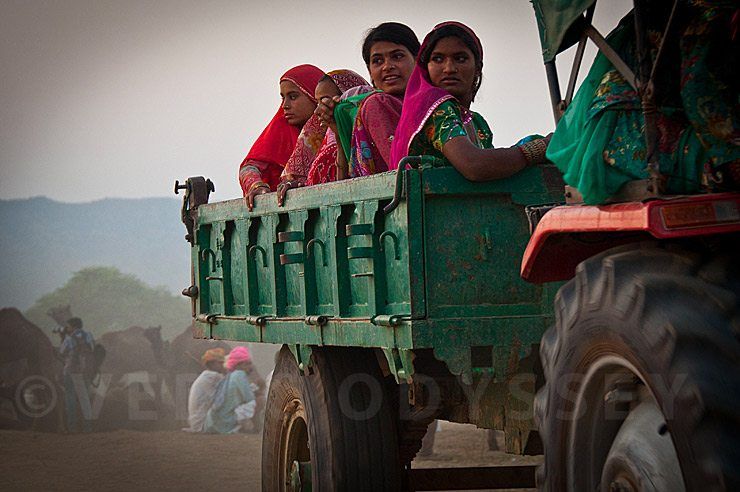 Pushkar Camel Fair