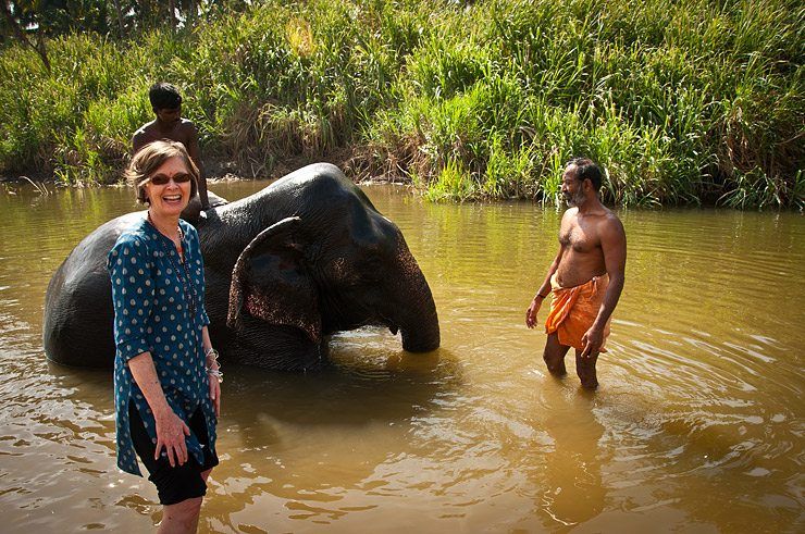 Bathing the Elephant image