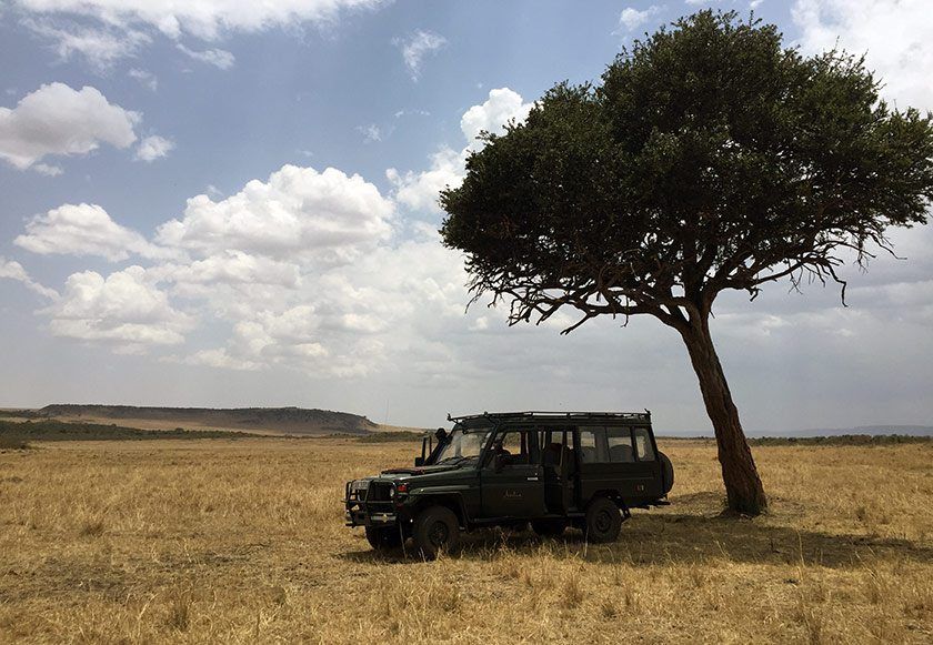 We usually parked the jeep under a shady tree for breakfast and lunch. What an experience to have a meal with wildlife all around you.
