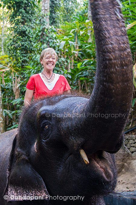 bathing-elephants-periyar-india-3
