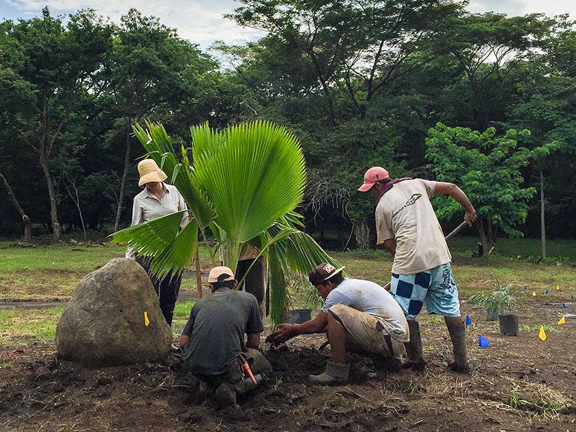 Love Drives Creation