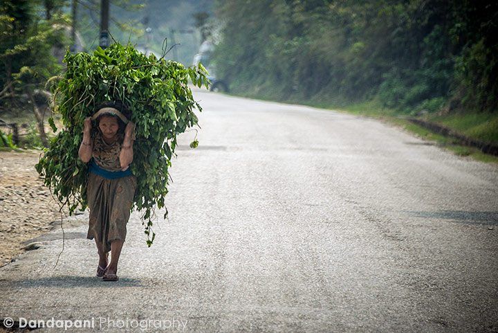 Chitwan-to-pokhara-drive