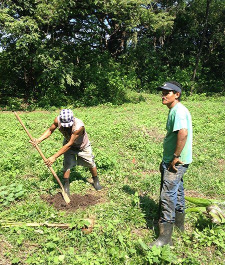 A couple of strong locals do the tough work of digging the holes.