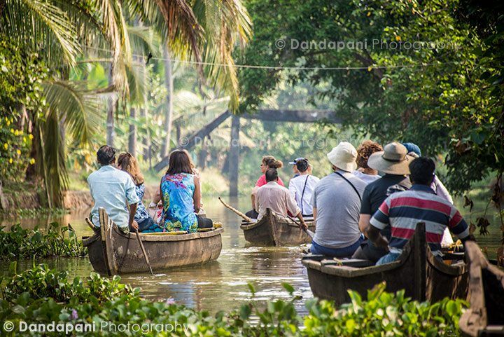 kerala-kumarakom-backwaters-boats